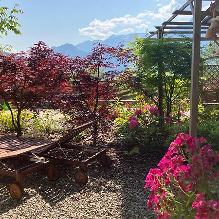 Villa Alberta 테나 외부 사진